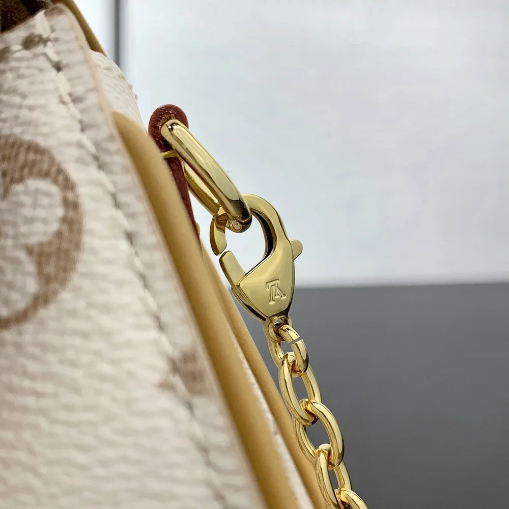 Louis Vuitton Pochette Camille